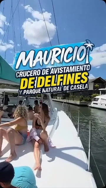 Portada del reel de Mauricio: crucero y avistamiento de delfines
