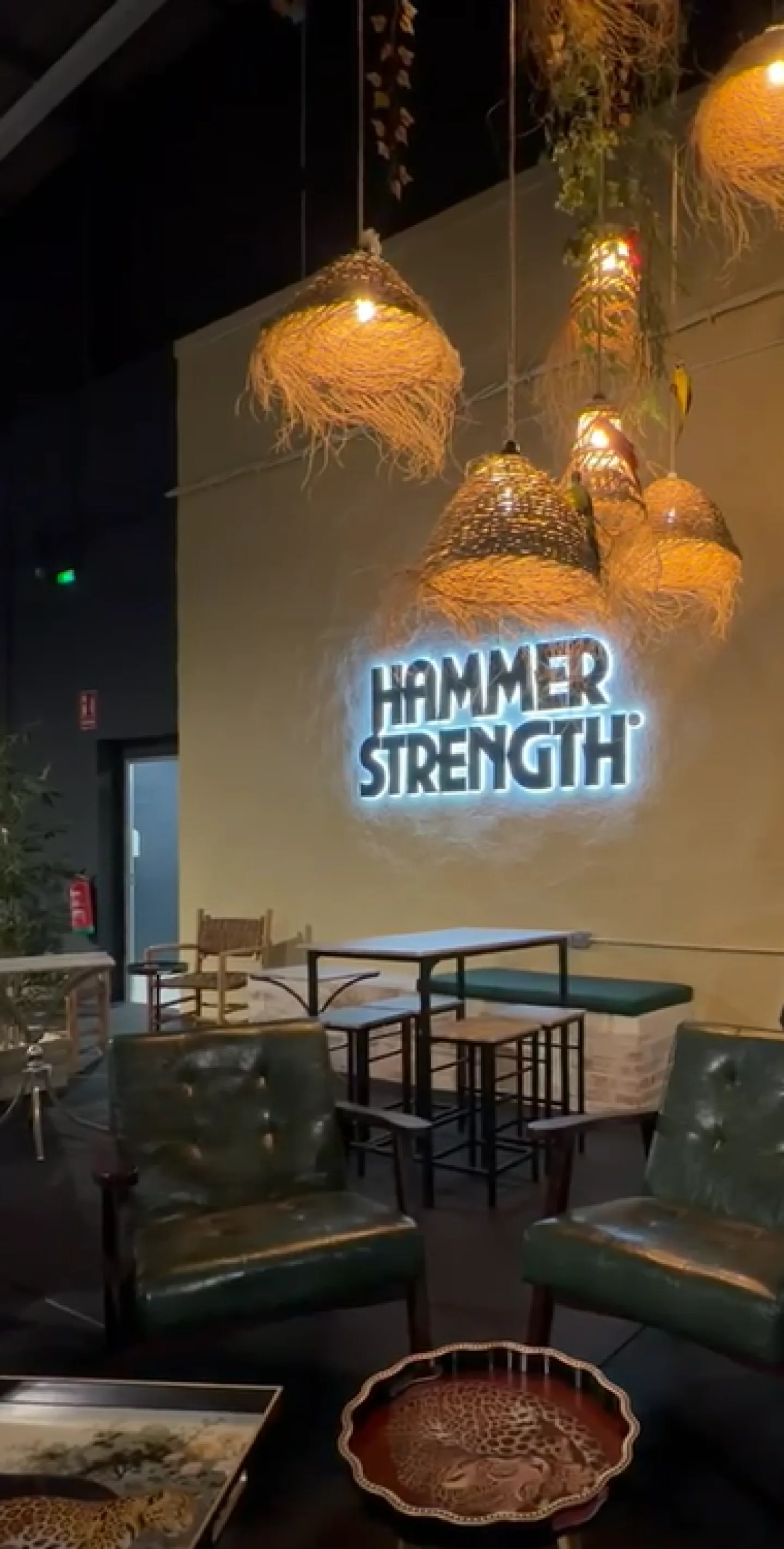 Detalle del ambiente y del espacio Hammer Strength de SilverGym La Carolina